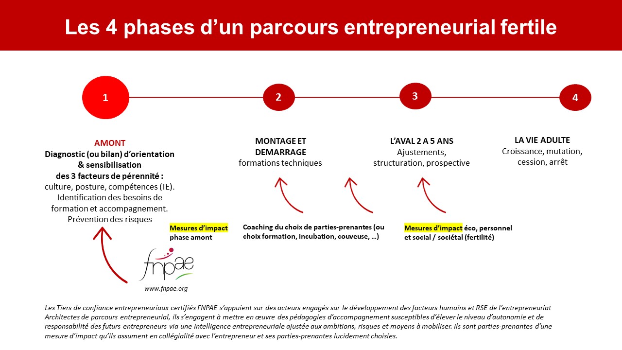Les 4 phases d'un parcours entrepreneurial fertile